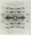 celluose